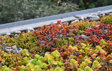 the cost of Throckley green roof installation