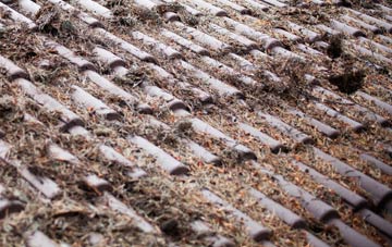 Throckley roof cleaning companies