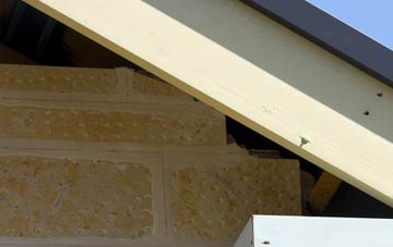 soffit repair Throckley