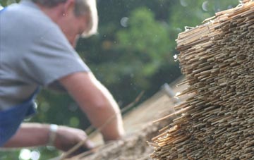 professional Throckley thatchers