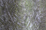 Throckley fibreglass roof work