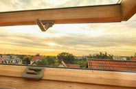 rated Throckley roof window companies